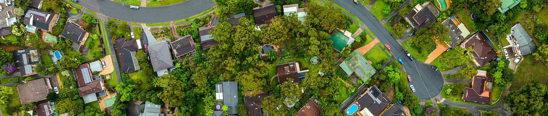 Green Australian suburb