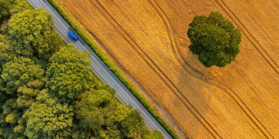 Road through fields and trees
